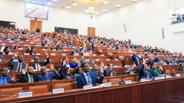 ፓርላማው የፌዴራል መንግሥት በክልሎች ጣልቃ የሚገባበትን ሥርዓት የሚደነግገውን የማሻሻያ አዋጅ አጸደቀ - Sputnik አፍሪካ