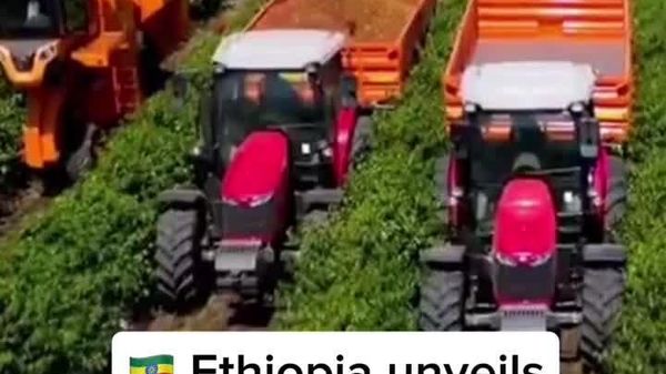 የኢትዮጵያ የቡና ገበሬዎች ምርታማነታቸውን ለማሳደግ ፈጠራን መጠቀም ጀምረዋል - Sputnik አፍሪካ
