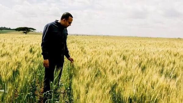 በኢትዮጵያ 1 - Sputnik አፍሪካ