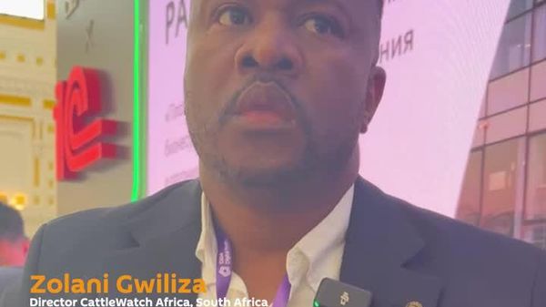 የአፍሪካ ሚዲያዎች ለምን በትርክት ዙሪያ መታገል ይኖርባቸዋል? - Sputnik አፍሪካ