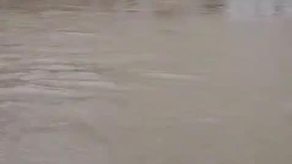 #viral | በህንድ ጉጃራት ግዛት ሱራት ከተማ የጣለ ዝናብ ከባድ ጎርፍ አስከተለ - Sputnik አፍሪካ