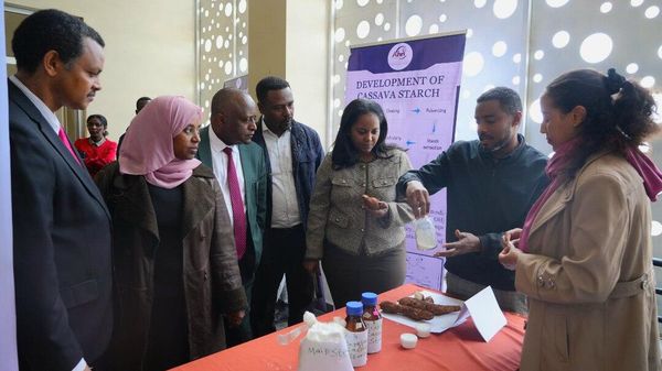 የካሳቫ ስታርች ምርት የመድኃኒትነት አዋጭነት ጥናት ለጤና ሚኒስቴር ቀረበ - Sputnik አፍሪካ