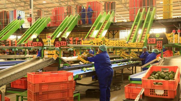 የአሜሪካ ቀረጥ ደቡብ አፍሪካ ወደ ብሪክስ ገበያዎች የምታደርገውን ሽግግር ሊያፋጥነው ይችላል ሲሉ ምሁሩ ገለጹ - Sputnik አፍሪካ