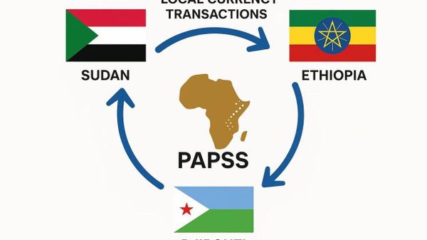 የቴሌብር ቀጣናዊ ራዕይ! - Sputnik አፍሪካ
