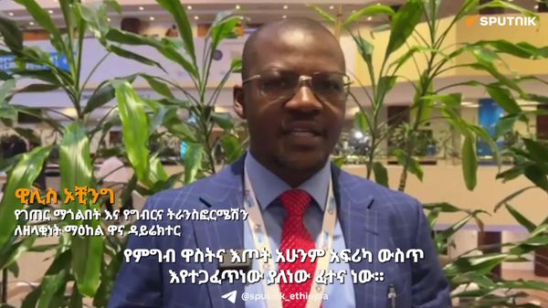 የአፍሪካ ግብርና በቅኝ ግዛት እሳቤዎች ምክንያት ከውጭ በሚገቡ የምግብ ምርቶች ላይ ጥገኛ ሆኗል - ኪንያዊ የግብርና ባለሙያ - Sputnik አፍሪካ
