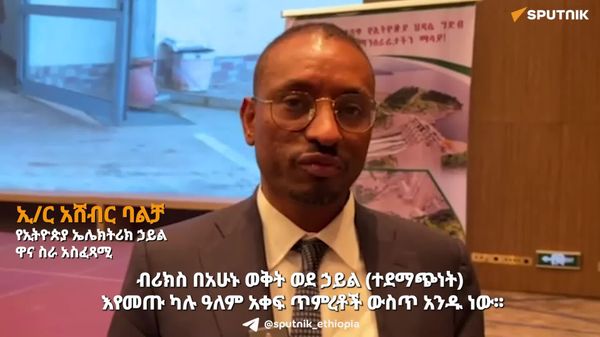 የኢትዮጵያ የብሪክስ አባልነት ለቀጣናው የኃይል ትስስር ተጨማሪ አቅም ይፈጥራል - Sputnik አፍሪካ