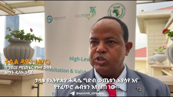 ታላቁ የኢትዮጵያ ሕዳሴ ግድብ ከኃይል ምንጭነት ባሻገር ለሰማያዊ (ለውኃ ሐብት) ኢኮኖሚ ጉልህ አስተዋጽኦ እያበረከተ መሆኑን የግብርና ሚኒስቴር ገለፀ - Sputnik አፍሪካ
