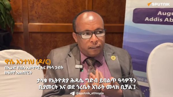 ታላቁ የኢትዮጵያ ሕዳሴ ግድብ በዓሣ ምርት በቀጣናው ሀገራት መካከል ኢኮኖሚያዊ ትስስር ለመፍጠር እንደሚያግዝ ኢጋድ ገለጸ - Sputnik አፍሪካ