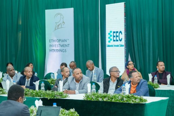 የኢትዮጵያ ኢንጀሪንግ ኮርፖሬሽን ወደ ናይጄሪያ እና ታንዛኒያ ፕሮጀክቶችን በማስፋፋት 1 - Sputnik አፍሪካ