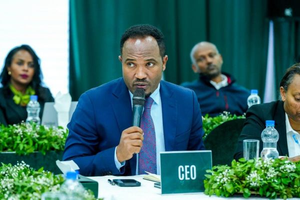 የኢትዮጵያ ኢንጀሪንግ ኮርፖሬሽን ወደ ናይጄሪያ እና ታንዛኒያ ፕሮጀክቶችን በማስፋፋት 1 - Sputnik አፍሪካ