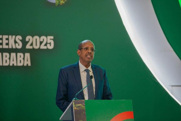 ለአየር ንብረት ፋይናንስ እንቅፋት የሚሆኑ ቢሮክራሲዎች ሊወገዱ ይገባል - የኢትዮጵያ ርዕሰ ብሔር - Sputnik አፍሪካ