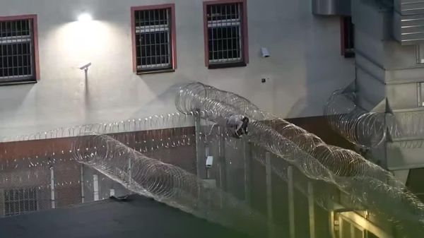 #viral | የጀርመን እስር ቤት ያልተሳካ የማምለጥ ሙከራ፦ ወጣቱ እስረኛ በሽቦ አጥር ውስጥ ተጣብቆ ውጥኑን ሳያሳካ ቀርቷል - Sputnik አፍሪካ
