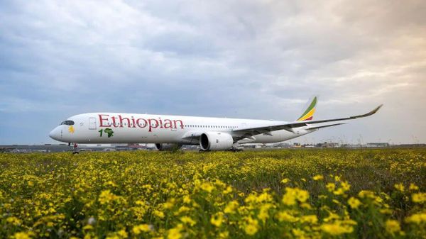 በአፍሪካ ግዙፉን አውሮፕላን ማረፊያ እ - Sputnik አፍሪካ