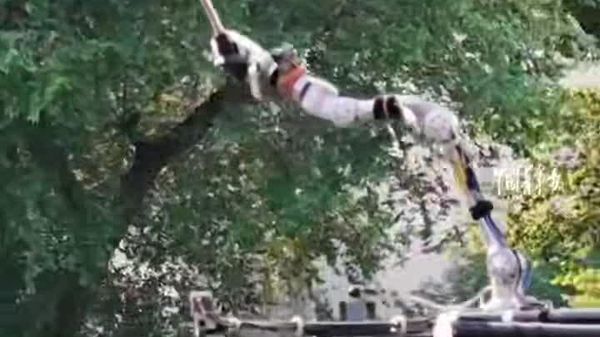 #viral | መሰላልን ጡረታ ያስወጣው የድሮን ቴክኖሎጂ፤ ቻይናውያን ተማሪዎች የመንገድ መብራትን የሚያፀዳ ድሮን አስተዋዉቀዋል - Sputnik አፍሪካ