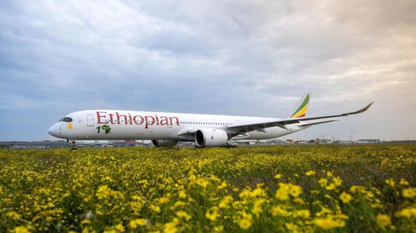 'ከ10 ዓመታት በኋላ ገቢያችንን 25 ቢሊዮን ዶላር ይደርሳል' - የኢትዮጵያ አየር መንገድ ዋና ሥራ አስፈፃሚ - Sputnik አፍሪካ
