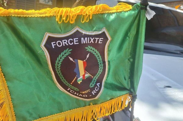 ቻድ እና ማዕከላዊ አፍሪካ 'እየተወሳሰቡ የመጡ' የፀጥታ ችግሮችን ለመጋፈጥ ኅብረት ፈጠሩ - Sputnik አፍሪካ