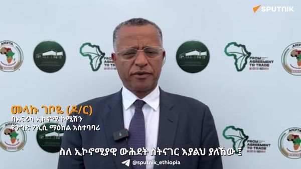 የኢኮኖሚ ውሕደት ለማረጋገጥ ድንበርን ከሉዓላዊነት በመለስ ማየት ይገባል - በአፍሪካ ኢኮኖሚ ኮሚሽን የንግድ ፖሊሲ ማዕከል አስተባባሪ - Sputnik አፍሪካ
