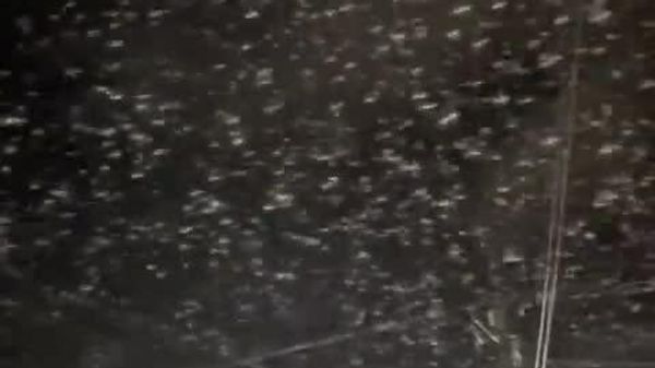 #viral | በፊሊፒንስ የባሕር ዳርቻ 6 - Sputnik አፍሪካ