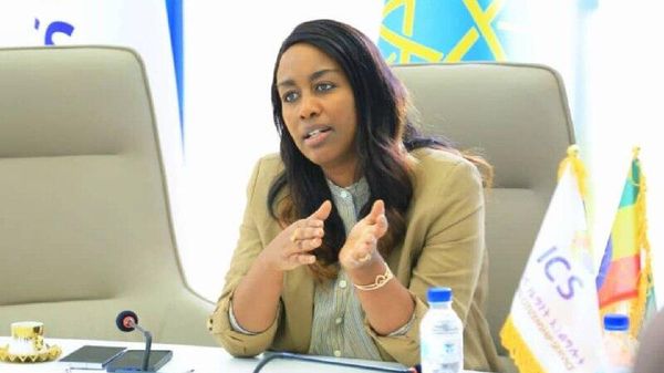 ኢትዮጵያ የቪዛ ግዜ ገደብ አሳልፈዋል ባለቻቸው ከ36 ሺህ በላይ የውጭ ሀገር ዜጎች ላይ እርምጃ ወሰደች - Sputnik አፍሪካ