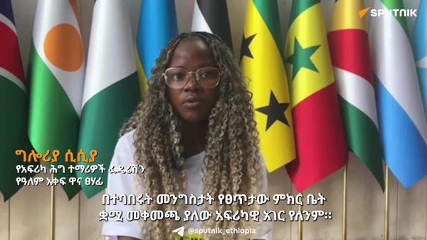 ሩሲያ አፍሪካ በፀጥታው ምክር ቤት ቋሚ መቀመጫ እንዲኖራት የምታደርገውን ጥረት ማድነቅ ይገባል - የአፍሪካ ሕግ ተማሪዎች ፌዴሬሽን የዓለም አቀፍ ዋና ፀሃፊ - Sputnik አፍሪካ