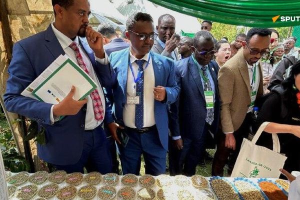 የአፍሪካ ቻይና ትብብር በአዲስ የደቡብ-ደቡብ የትብብር ምዕራፍ ላይ እንደምንገኝ የሚያሳይ ነው - የኢትዮጵያ ግብርና ምርምር ኢንስቲትዩት - Sputnik አፍሪካ