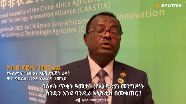 ኢትዮጵያ የስንዴ ምርቷን ይበልጥ በማሳደግ ከአፍሪካ ሰፊ ገበያ መጠቀም ትችላለች - የዓለም ምግብ እና እርሻ ድርጅት - Sputnik አፍሪካ