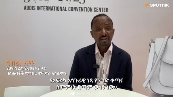 ነጻ የንግድ ቀጣናው በአኅጉሪቱ የልብስ ምርት ላይ የእሴት ሰንሰለት መፍጠር ያስችላል - የሐዋሳ ልዩ የኢኮኖሚ ዞን ባለኃብቶች ማኅበር - Sputnik አፍሪካ