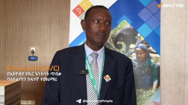 አረንጎዴ አሻራ በኢትዮጵያ ግዙፍ የአካባቢ ጥበቃ ባህል ተክሏል - በኢትዮጵያ የዱር እንስሳት ጥበቃ ባለሥልጣን ከፍተኛ ተመራማሪ - Sputnik አፍሪካ