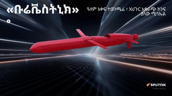 የሩሲያ የቅርብ ጊዜ የጦር መሳሪያዎች እና የአዲስ ጦር መሳሪያዎች እውነታ - ክፍል 1 - Sputnik አፍሪካ