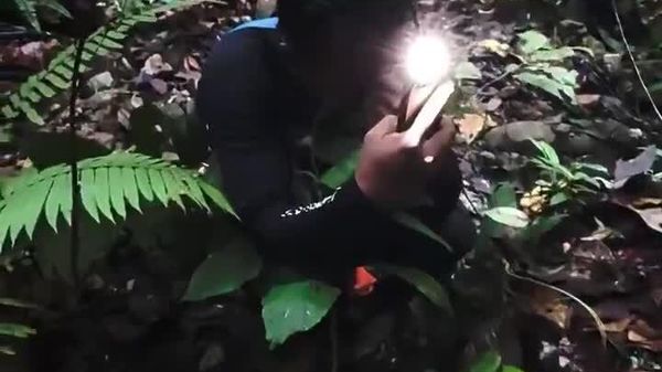 #viral | የባዮሎጂ ተመራማሪዎች ለ13 ዓመታት ሲፈልጉት የነበረውን እጅግ በጣም ብርቅዬ አበባ አገኙ - Sputnik አፍሪካ