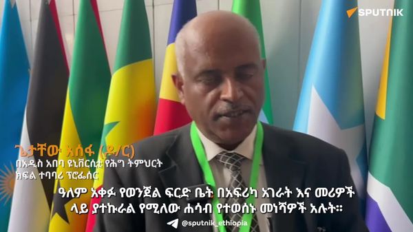 ዓለም አቀፉ የወንጀል ፍርድ ቤት ሃያላን ሀገራትን ለፍትሕ የማቅረብ አቅም የለውም - የሕግ ምሑር - Sputnik አፍሪካ
