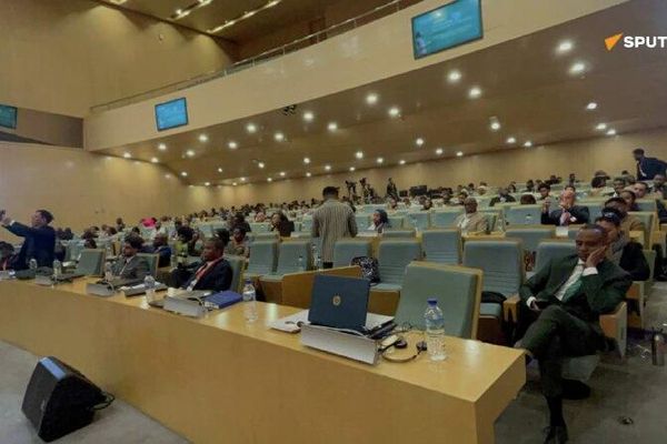 አፍሪካ በግብርናው ዘርፍ ዲጂታል ቴክኖሎጂን በስፋት መጠቀም እንዳለባት ተገለፀ - Sputnik አፍሪካ