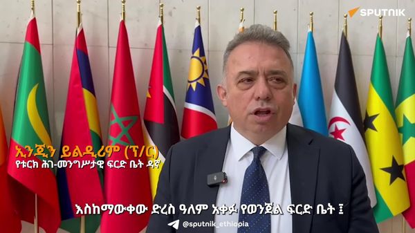 ዓለም አቀፉ የወንጀል ፍርድ ቤት በጥቂት እጅ ጠምዛዥ ኃያላን ሀገራት ሥር ነው - የቱርክ ሕገ-መንግሥታዊ ፍርድ ቤት ዳኛ - Sputnik አፍሪካ