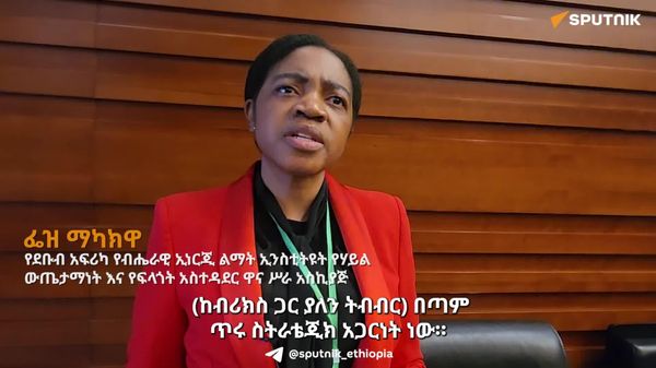 በሃይል ልማት ላይ ከሩሲያ እና ቻይና ጋር በቅርበት እየሠራን ነው - የደቡብ አፍሪካ ብሔራዊ ኢነርጂ ልማት ኢንስቲትዩት - Sputnik አፍሪካ