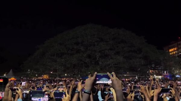 #viral | የሕንዱ ግዙፍ የገና ዛፍ፤ በኮቺ የሚገኘውና 400 ዓመታትን እንዳስቆጠረ የሚገመተው ዛፍ አሸብርቆ ሺዎችን አስደምሟል - Sputnik አፍሪካ