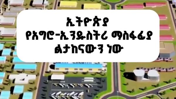የኢንዱስትሪ ሚኒስቴር ለተቀናጁ የግብርና ምርት ማቀነባበሪያ ፓርኮች የሚሆኑ 17 ስትራቴጂካዊ ቦታዎች መለየቱን አስታወቀ - Sputnik አፍሪካ