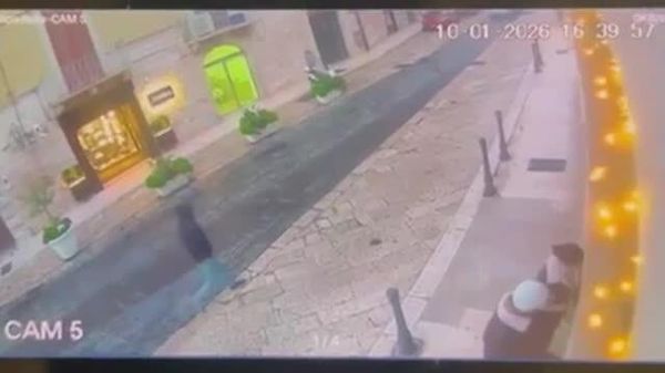 #viral | በጣሊያን በኃይለኛ ንፋስ ሳቢያ የተገነደሰ የዘንባባ ዛፍ በሚንቀሳቀስ መኪና ላይ ወደቀ - Sputnik አፍሪካ