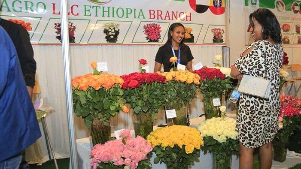 ተርስድ የኢትዮጵያን አበቦች በዓለም አቀፍ ደረጃ ለማስተዋወቅ የአንድ ዓመት የትብብር ሥራ መጀመሩን አስታወቀ - Sputnik አፍሪካ