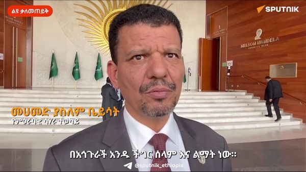 ለአፍሪካ የሰላም እና ልማት ችግር ዋነኛው መንስኤ የውጭ ጣልቃ ገብነት ነው - የምዕራባዊ ሰሃራ* ተወካይ - Sputnik አፍሪካ