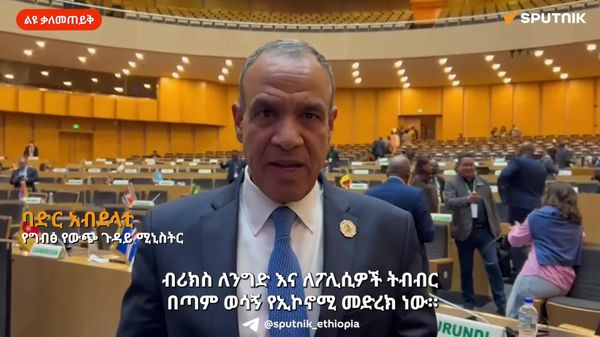 ብሪክስ በጣም ወሳኝ የኢኮኖሚ መድረክ ነው - የግብፅ የውጭ ጉዳይ ሚኒስትር - Sputnik አፍሪካ