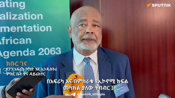 አፍሪካ ከምስራቁ የኢኮኖሚ ክፍል ጋር ያላት አጋርነት ኢንተርፕራይዞችን ማሳደግ ላይ ሊያተኩር ይገባል - የምጣኔ ሐብት ባለሙያ - Sputnik አፍሪካ