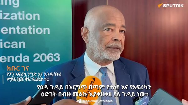 የተናጠል የዕዳ ድርድር ለአፍሪካ አዋጭ አይደለም - ዕውቅ የምጣኔ ሐብት ባለሙያ - Sputnik አፍሪካ
