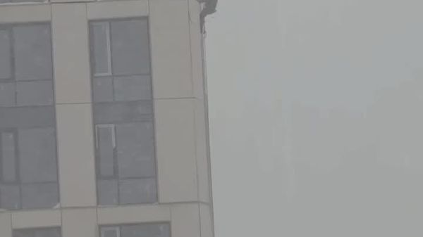 #viral | ልበ ቆራጥ ብርቱ - Sputnik አፍሪካ