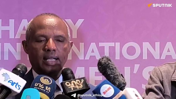 የመካከለኛው ምስራቅ ግጭት የመንገደኞች ቁጥር ቢቀንስም ወደ ኪሳራ የሚያደርሰን አይደለም - የኢትዮጵያ አየር መንገድ ግሩፕ ዋና ሥራ አስፈፃሚ - Sputnik አፍሪካ