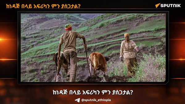 ከነዳጅ በላይ አፍሪካን ምን ያሰጋታል? - Sputnik አፍሪካ