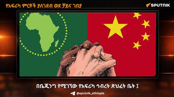 የአፍሪካ ምርቶች ያለገደብ ወደ ቻይና ገበያ፦ የቻይናው ከቀረጥ ነፃ ዕድል የትግበራ ምክክር - Sputnik አፍሪካ