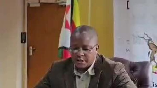 ዚምባብዌ የሀገር ውስጥ አምራቾችን ለመጠበቅ የውጭ ኩባንያዎች በአነስተኛ የወርቅ ማዕድን ሥራ እንዳይሳተፉ ከለከለች - Sputnik አፍሪካ