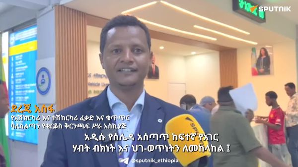 አዲሱ የተሽከርካሪዎች ሰሌዳ አጠቃላይ መረጃዎችን የያዘ ቺፕስ በውስጡ መቀበሩ ተገለፀ - Sputnik አፍሪካ