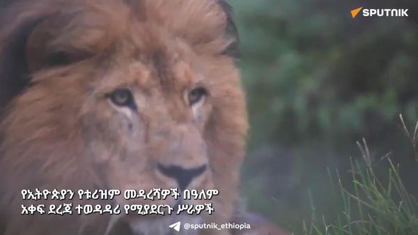 የባሌ ብሔራዊ ፓርክ እና የሲንቂሌ ጥብቅ ስፍራን ዲጂታላይዝ ለማድረግ የሚያስችል የጂኦስፓሻል ፕላትፎርም ይፋ ተደረገ - Sputnik አፍሪካ