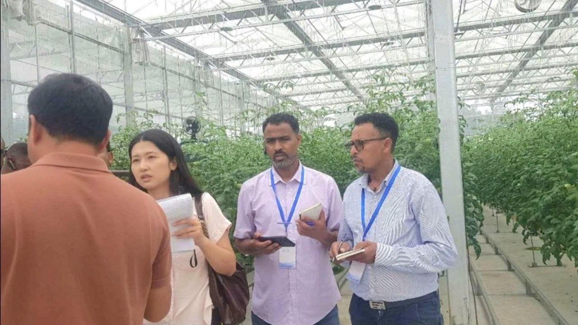 የኢትዮጵያ የግብርና ልዑክ የቻይናን ዘመናዊ የግብርና አሰራሮች ልምድ ለመቅሰም እና የሁለትዮሽ ትብብርን ለማጠናከር ያለመ ጉብኝት አደረገ የኢትዮጵያ የግብርና ልዑክ የቻይናን ዘመናዊ የግብርና አሰራሮች ልምድ ለመቅሰም እና የሁለትዮሽ ትብብርን ለማጠናከር ያለመ ጉብኝት አደረገ - Sputnik አፍሪካ, 1920, 14.07.2026